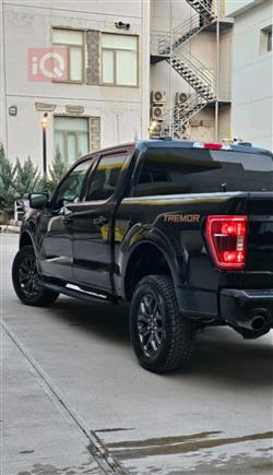 فۆرد F-150